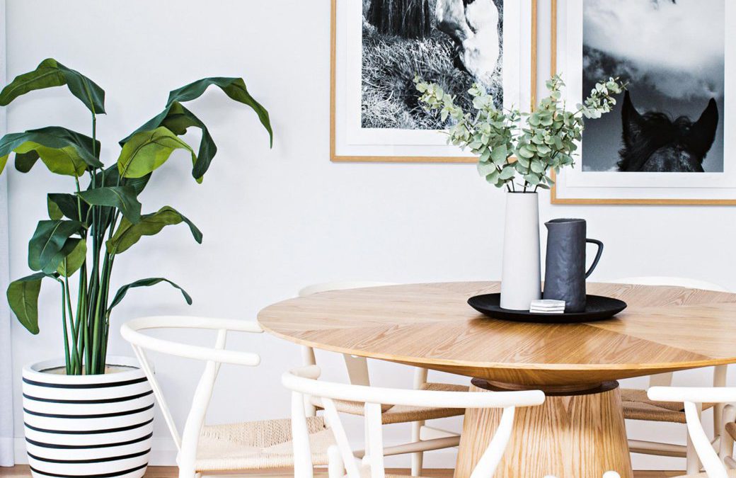 Plants in Living Spaces