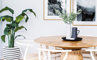 Plants in Living Spaces
